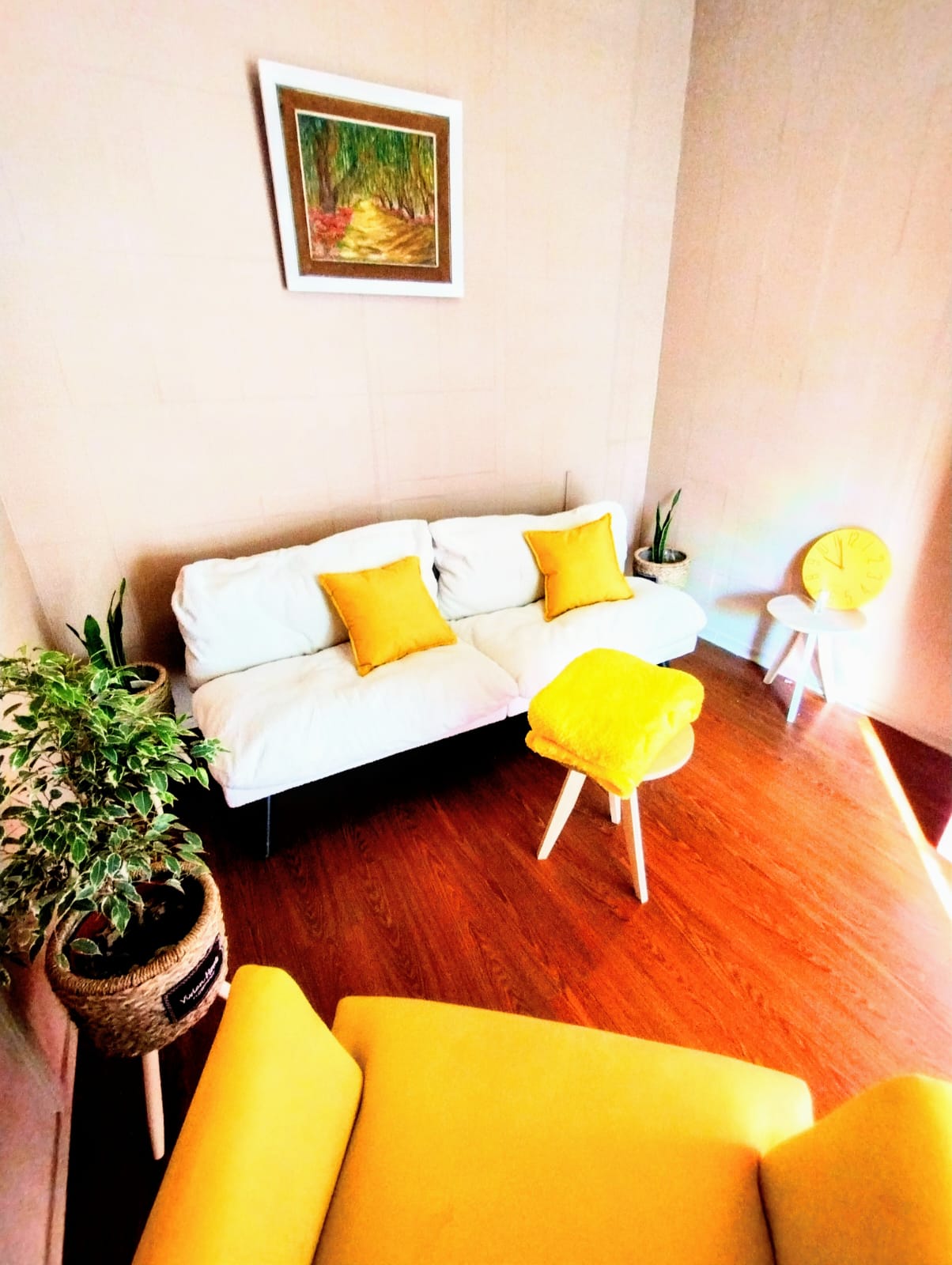 Sala Amarilla 5
